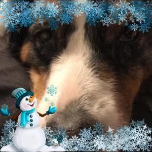 Meet your Posher, Lacie